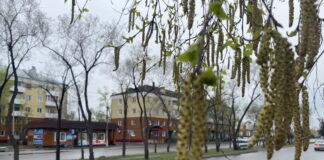Фото СГК