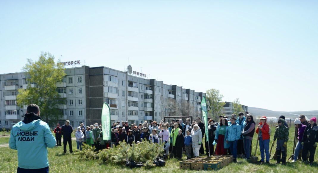 Фото предоставлено пресс-службой ХРО партии «Новые люди» Фото предоставлено пресс-службой ХРО партии «Новые люди»