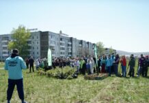 Фото предоставлено пресс-службой ХРО партии «Новые люди»