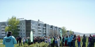 «Новые люди» в Хакасии организовали большой зеленый праздник, на котором высадили три тысячи сеянцев сосны Фото предоставлено пресс-службой ХРО партии «Новые люди»