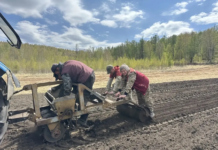 Фото предоставлено пресс-службой Минлеса РХ