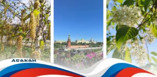 Глава Абакана поздравил с Днем России Изображение предоставлено администрацией Абакана