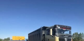 Фото Госавтоинспекции