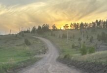 Фото Госавтоинспекции