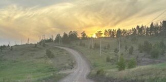 Квадроцикл перевернулся в Аскизском районе Фото Госавтоинспекции