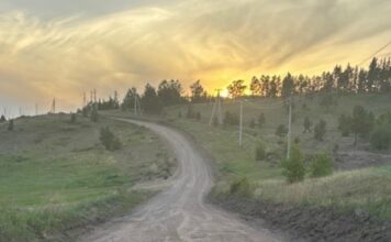 Квадроцикл перевернулся в Аскизском районе Фото Госавтоинспекции