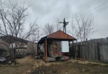 Фото из телеграм-канала прокуратуры Красноярского края