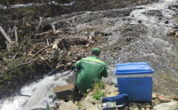Экологи нашли нарушения у золотодобытчиков в Хакасии Фото из телеграм-канала Минприроды РХ