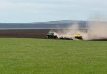 В Хакасии завершается сев зерновых культур Фото из телеграм-канала Минсельхозпрода РХ
