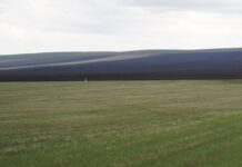 Фото из телеграм-канала Минсельхозпрода РХ