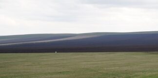 Фото из телеграм-канала Минсельхозпрода РХ