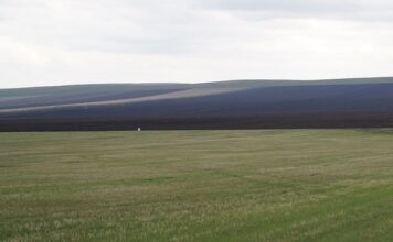 Посевная в Хакасии завершилась Фото из телеграм-канала Минсельхозпрода РХ