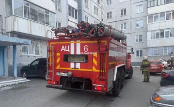 За сутки в Хакасии потушили два пожара Фото МЧС