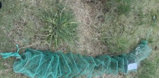 В Хакасии браконьер пожаловался в полицию на конкурентов, укравших его снасти Фото МВД