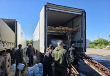 Фото предоставлено пресс-службой администрации Абакана