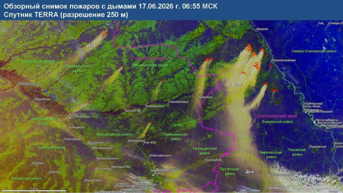 Изображение предоставлено пресс-службой МЧС