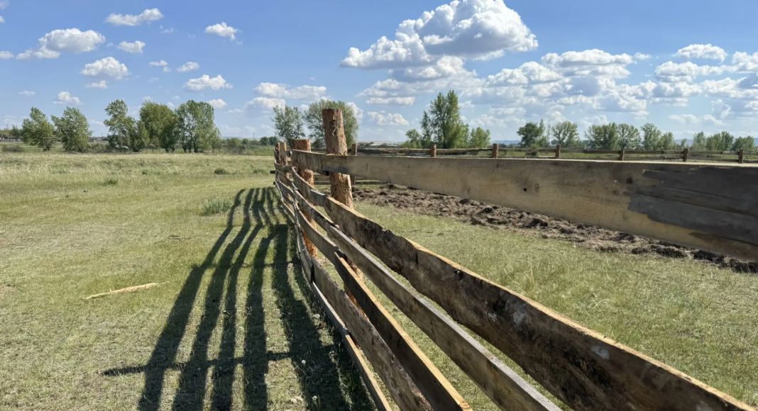 Фото предоставлено пресс-службой Минлеса РХ
