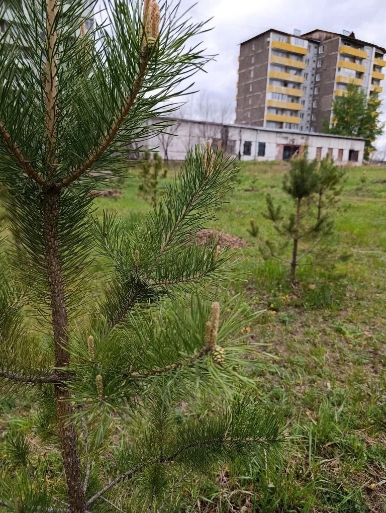 Фото СГК