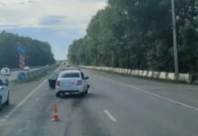 В Алтайском районе в ДТП пострадал ребенок Фото Госавтоинспекции