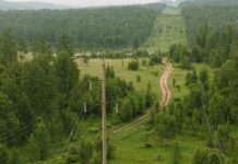 Фото предоставлено пресс-службой «Россети Сибирь»