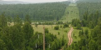 Энергетики «Россети Сибирь» напоминают о правилах работы в охранных зонах ЛЭП Фото предоставлено пресс-службой «Россети Сибирь»