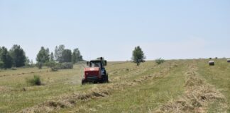 Погода помогает аграриям Хакасии ускорить кормозаготовку Фото со страницы Минсельхозпрода РХ