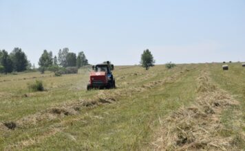 Погода помогает аграриям Хакасии ускорить кормозаготовку Фото со страницы Минсельхозпрода РХ