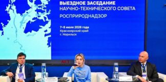 Глава Росприроднадзора: «Мы придем к каждому неплательщику накопленного вреда окружающей среде» Фото пресс-службы Росприроднадзора