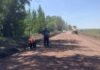 В Усть-Абаканском районе отчитались о ремонте дорог в трех селах Изображение из телеграм-канала Администрации Усть-Абаканского района