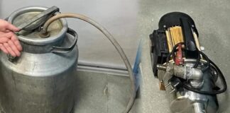 В Абазе ранее судимая женщина обокрала пожилого садовода Изображение из телеграм-канала МВД по РХ