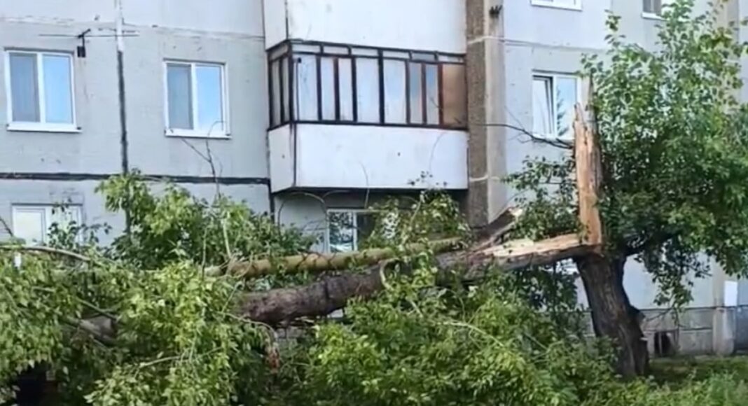 Изображение со страницы Вконтакте Елена Гопина Изображение со страницы Вконтакте Елена Гопина