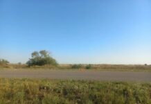 Мотоциклист погиб в ДТП в Хакасии Фото Госавтоинспекции