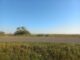 Мотоциклист погиб в ДТП в Хакасии Фото Госавтоинспекции