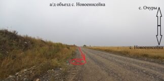 Фото Госавтоинспекции