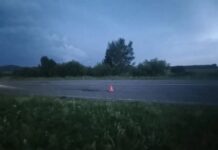 Фото Госавтоинспекции