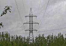 Фото предоставлено пресс-службой «Россети Сибирь»