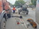 Фото: МУП «Водоканал»
