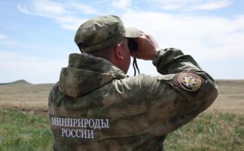 В заповеднике «Хакасский» запретили посещать два участка Фото со страницы заповедника «Хакасский»