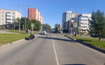 Фото Госавтоинспекции