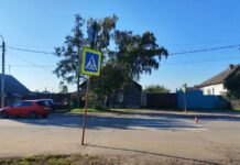 Фото Госавтоинспекции