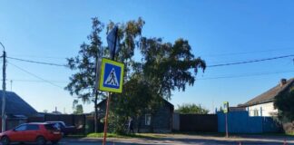 В Усть-Абаканском районе «Тойота» сбила 17-летнюю девушку на переходе Фото Госавтоинспекции