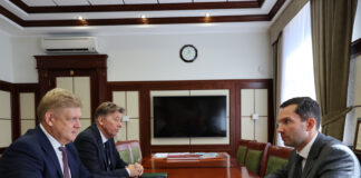 Полномочный представитель Президента РФ в СФО и генеральный директор «Россети Сибирь» обсудили развитие электроэнергетики Сибири Фото предоставлено пресс-службой «Россети Сибирь»