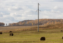 Фото предоставлено пресс-службой «Россети Сибирь»
