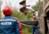 Фото предоставлено пресс-службой «Россети Сибирь»