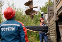 Фото предоставлено пресс-службой «Россети Сибирь»