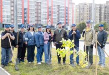 МЖФ Абакана открыл осенний экомарафон по высадке деревьев Фото с сайта МЖФ