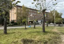 В Черногорске прошел общегородской субботник Фото: Черногорск-Информ