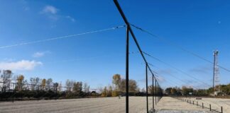 В Хакасии строят теплицу для выращивания хвойных саженцев Строительство теплицы в Чапаево. Фото предоставлено пресс-службой Минлеса РХ