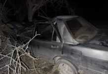 Фото Госавтоинспекции
