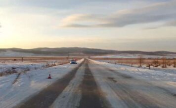 Фото Госавтоинспекции